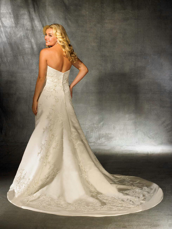 Plus Size Empire Line Wedding Gown Flattering And Feminine Includes Shipping